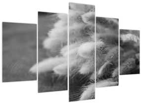 Tablou - iarbă de coadă de iepure pe masă (150x105 cm)