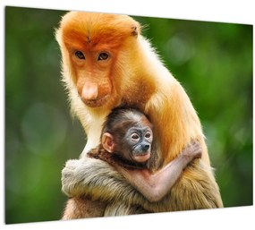 Tablou cu maimuțe (70x50 cm)