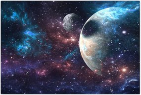 Tablou cu cosmos (90x60 cm)