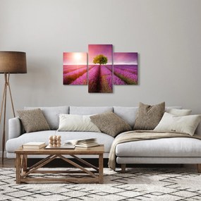Tablou câmp cu lavandă (90x60 cm)