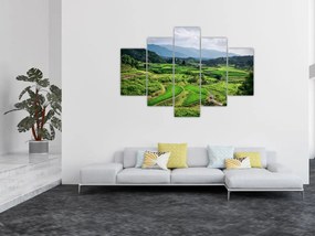 Tablou cu câmp de orez (150x105 cm)