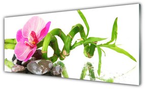 Tablou pe sticla Flori Floral Roz Verde Gri Alb