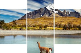 Tablou - Parcul Național Torres del Paine (90x60 cm)