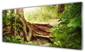 Tablou pe sticla Trunchi de copac Natura Brun Verde