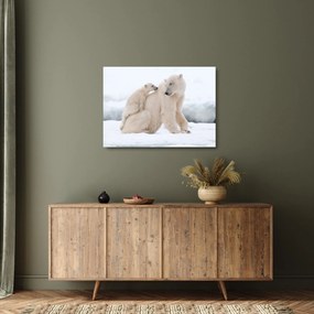 Tablou pe sticlă - Urs polar (70x50 cm)