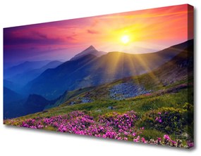Tablou pe panza canvas Munții flori de luncă Peisaj Albastru Roz Verde Galben