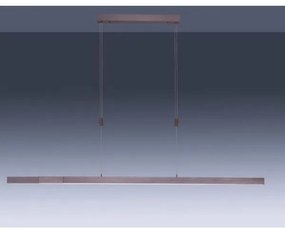 Lustră LED dimabilă pe cablu Paul Neuhaus 2568-24 ADRIANA LED/14W/230V