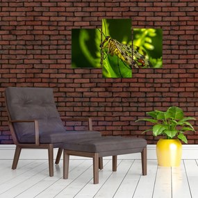 Tablou cu omide (90x60 cm)