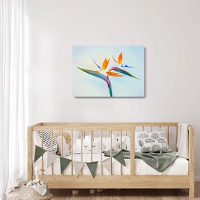 Tablou pe sticlă cu floarea Strelicie (70x50 cm)