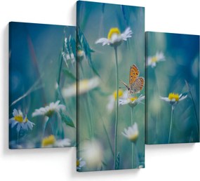 Tablou - Fluture pe margaretă (90x60 cm)