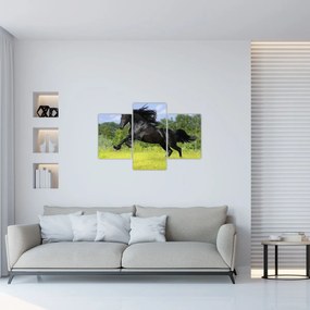 Tablou - Cal cu o coamă curgătoare (90x60 cm)