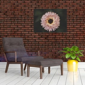Tablou cu floare portocalie (70x50 cm)