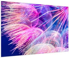 Tablou - Macro (90x60 cm)