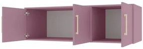 Dulap de haine cu suprastructură Lenona II D3 (prun + auriu) (cu oglindă). 1105680