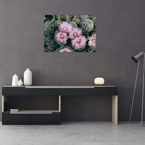 Tablou floare de cactus (70x50 cm)