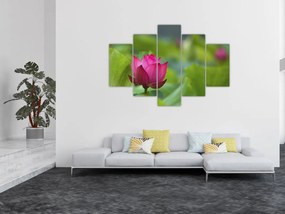 Tablou - floare de apă (150x105 cm)