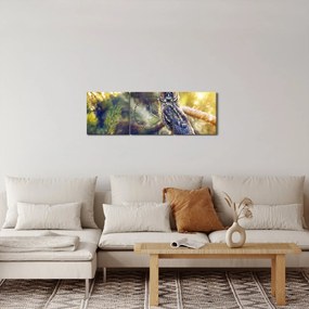 Tablou - Bufniță în copac (cu ceas) (90x30 cm)