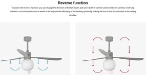 Lustra cu Ventilator si telecomanda AMELIA L BALL LED gri