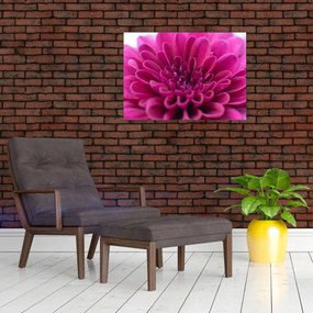 Tablou cu floare (70x50 cm)
