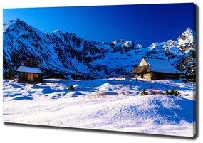 Print pe pânză Case în munții tatra