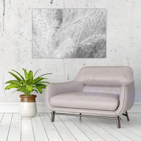 Tablou - Iarbă de pampas N⁰1 (90x60 cm)