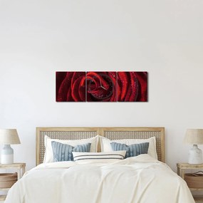 Tablou - Trandafir roșu cu picături de rouă (cu ceas) (90x30 cm)