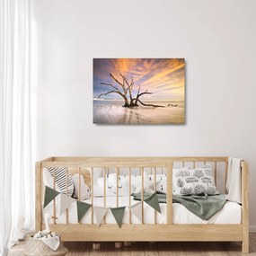 Tablou pe sticlă - Copacul în ocean (70x50 cm)
