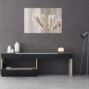 Tablou - Cozi de iepure (90x60 cm)