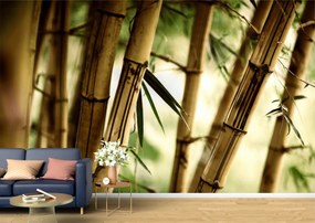 Tapet Premium Canvas - Ramuri de bambus abstract