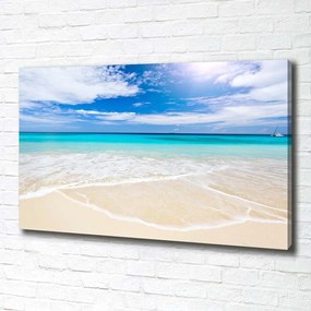 Print pe pânză Plaja tropicala