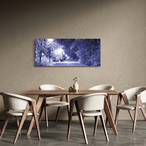 Tablou - Noaptea magică de iarnă (120x50 cm)
