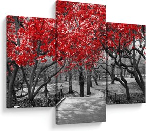 Tablou - Copaci roșii, Central Park, New York (90x60 cm)