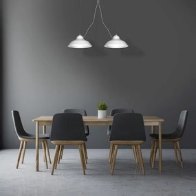 Lustră pe cablu GUSTAV 2xE27/60W/230V