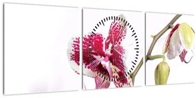 Tablou cu floarea de orhidee (cu ceas) (90x30 cm)