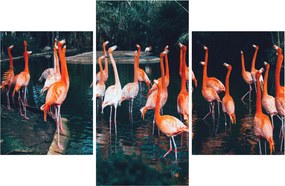 Tablou - turmă de flamingo (90x60 cm)