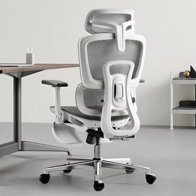 HBADA E2 Scaun ergonomic, cotiere reglabile 3D, suport lombar reglabil, spătar reglabil inaltime, pivotant, suport picioare, Gri