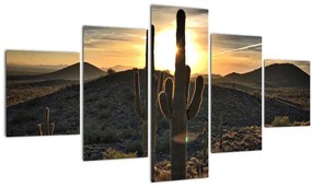Tablou - cactușii la soare (125x70 cm), în 40 de alte dimensiuni noi
