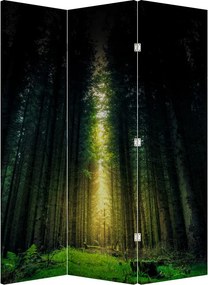 Paravan - Pădurea întunecată (126x170 cm)