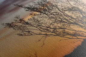 Tablou ramuri de copaci la apus de soare