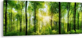 Tablou - Răsărit în pădure (120x50 cm)