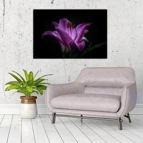 Tablou crinul (90x60 cm)