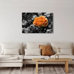 Tablou cu floare (90x60 cm)