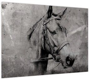 Tablou pe sticlă - Portret de cal (70x50 cm)