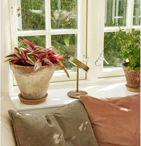 Halo Design 745784-LED — Lampă reîncărcabilă reglabilă ON THE MOVE, LED/2,5W/4000 mAh, alamă/lemn