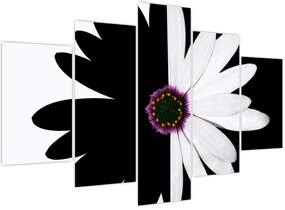 Tablou - Floare, alb- negru (150x105 cm)