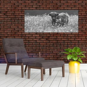 Tablou - Vacă scoțiană 5,alb-negru (120x50 cm)