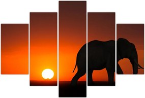 Tablou cu elefant în apus de soare (150x105 cm)