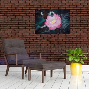 Tablou cu floare roz (70x50 cm)