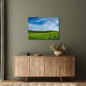 Tablou cu luncă (70x50 cm)