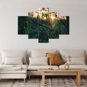 Tablou - Soarele strălucind printre crengile copacilor (150x105 cm)